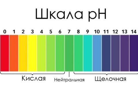 Зачем знать шкалу pH? Круг Зиннера.