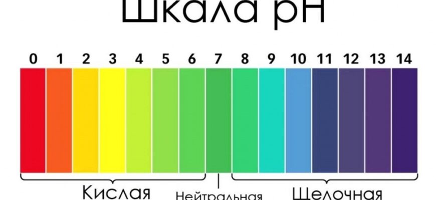 Зачем знать шкалу pH? Круг Зиннера.